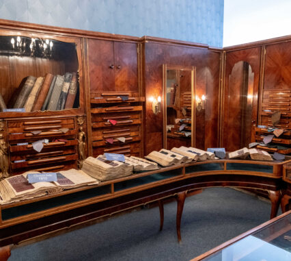 Hedva Český Brokát