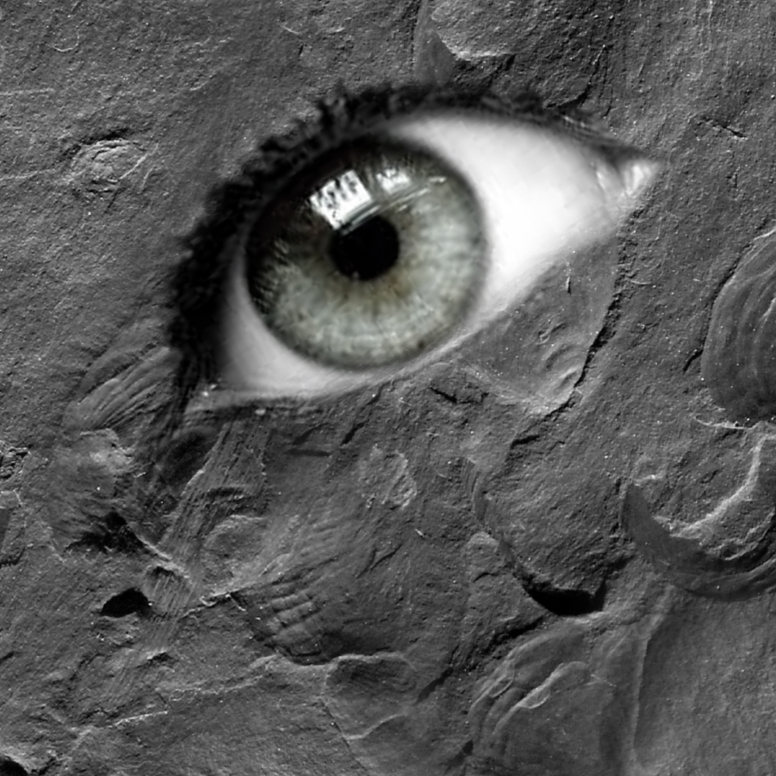 Imaginárium břidlice Mokřinky