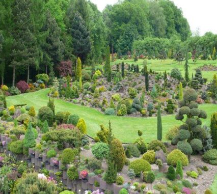 Miniarboretum u Holubů