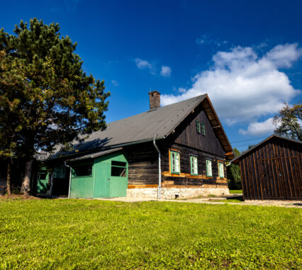 Drzewiónki na Borku w Trzyńcu