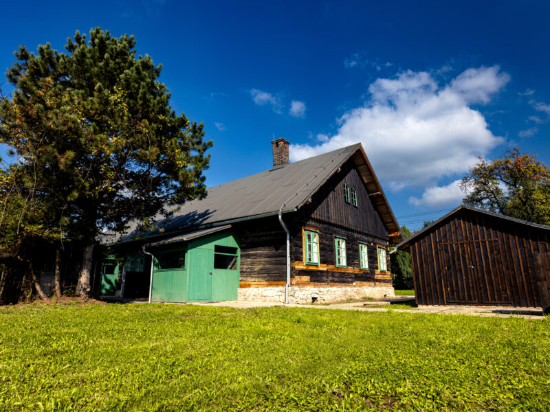 Drzewiónki na Borku w Trzyńcu